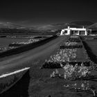 Weingut La_Geria [Lanzarote]