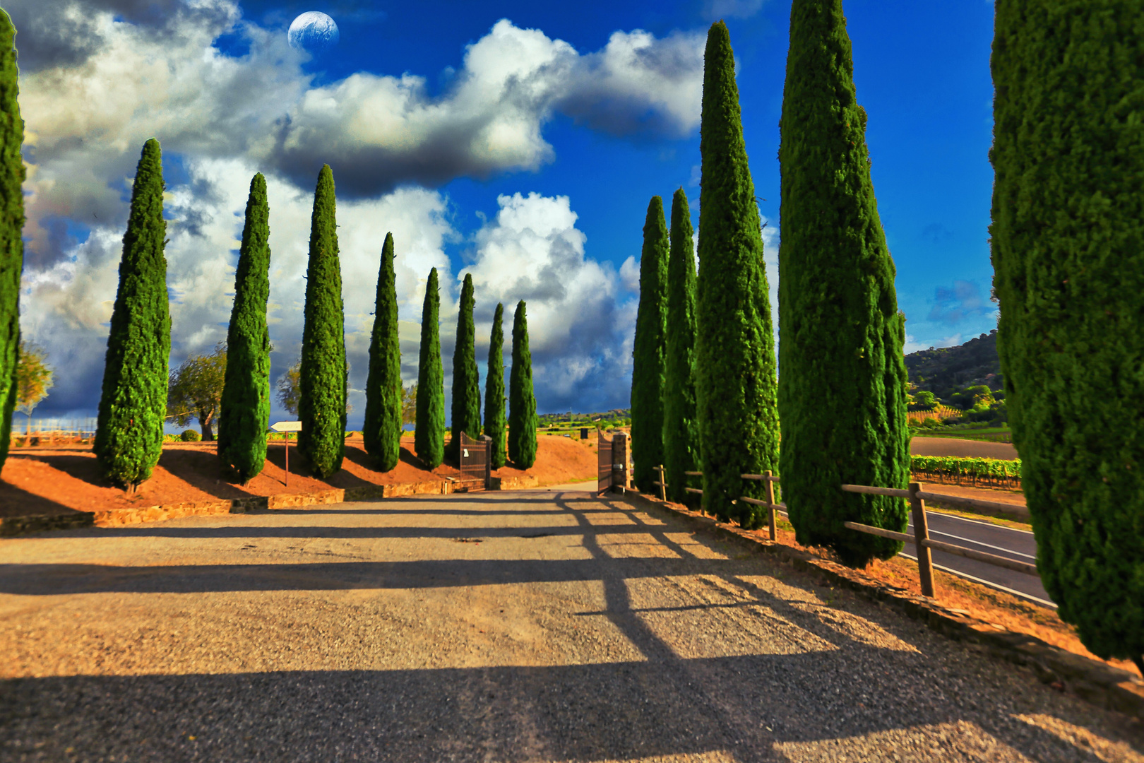 Weingut mit Pinien Allee