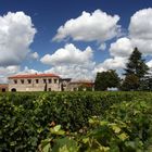 Weingut nahe Saint Emilion