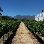 Weingut Nederburg in Paarl 1