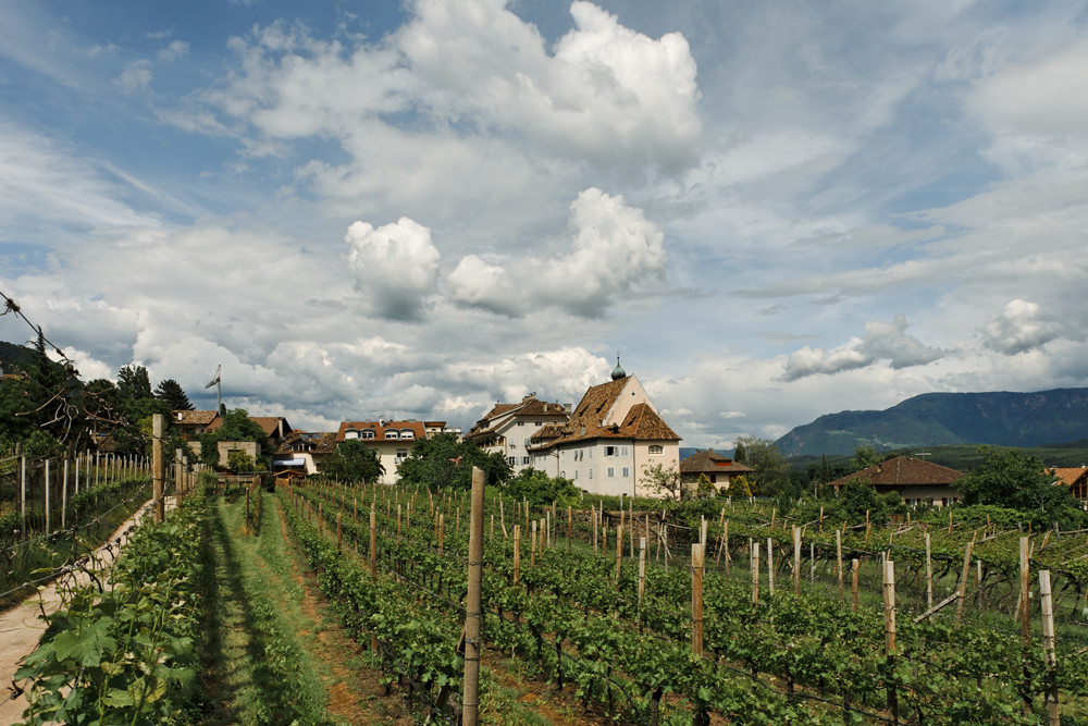 Weingut Pichler am Kalterer See