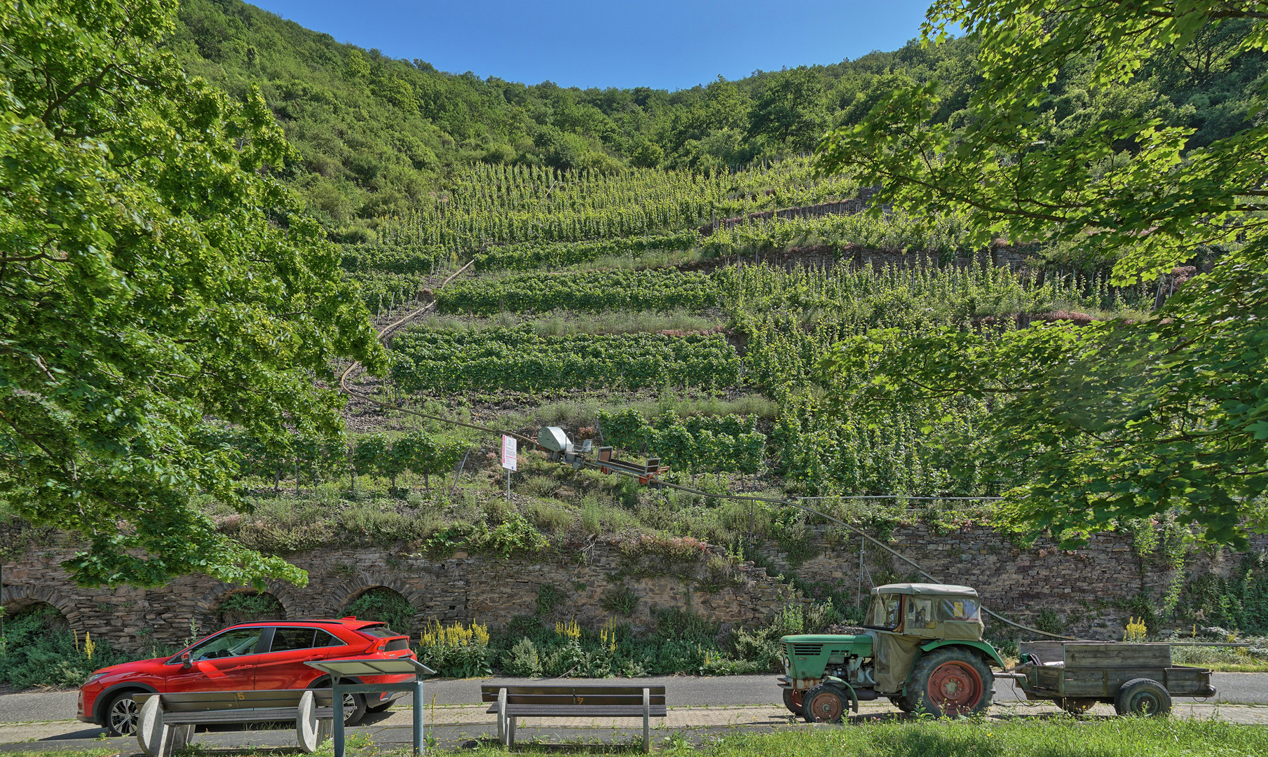 Weingut Rieber Berg