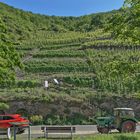 Weingut Rieber Berg