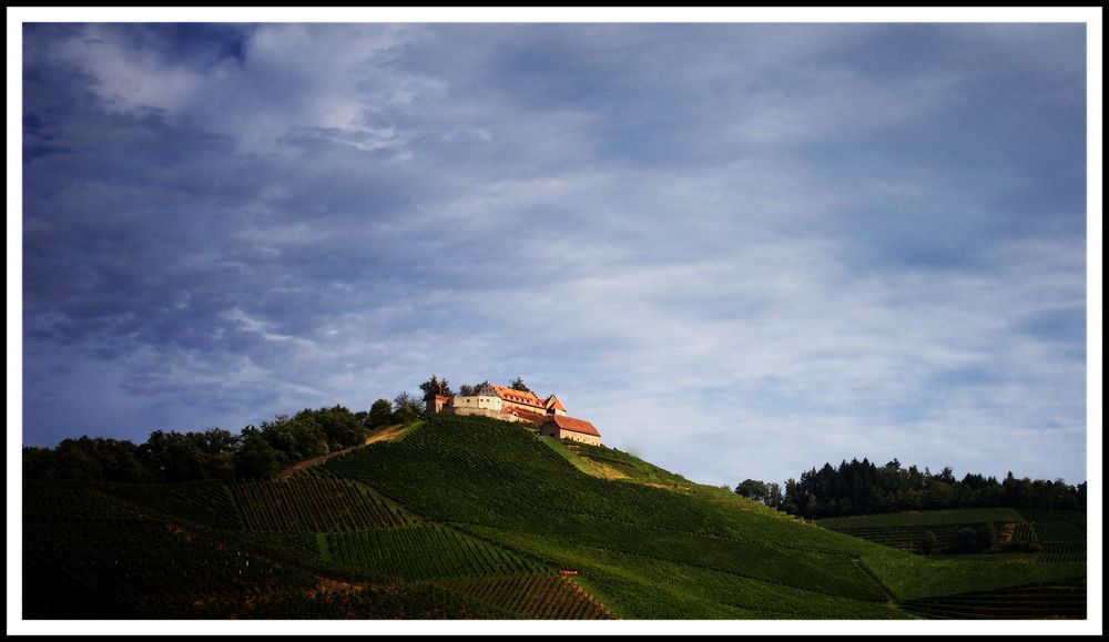 Weingut Schloss Staufenberg