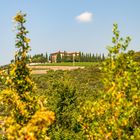 Weingut Tenuta di Argiano