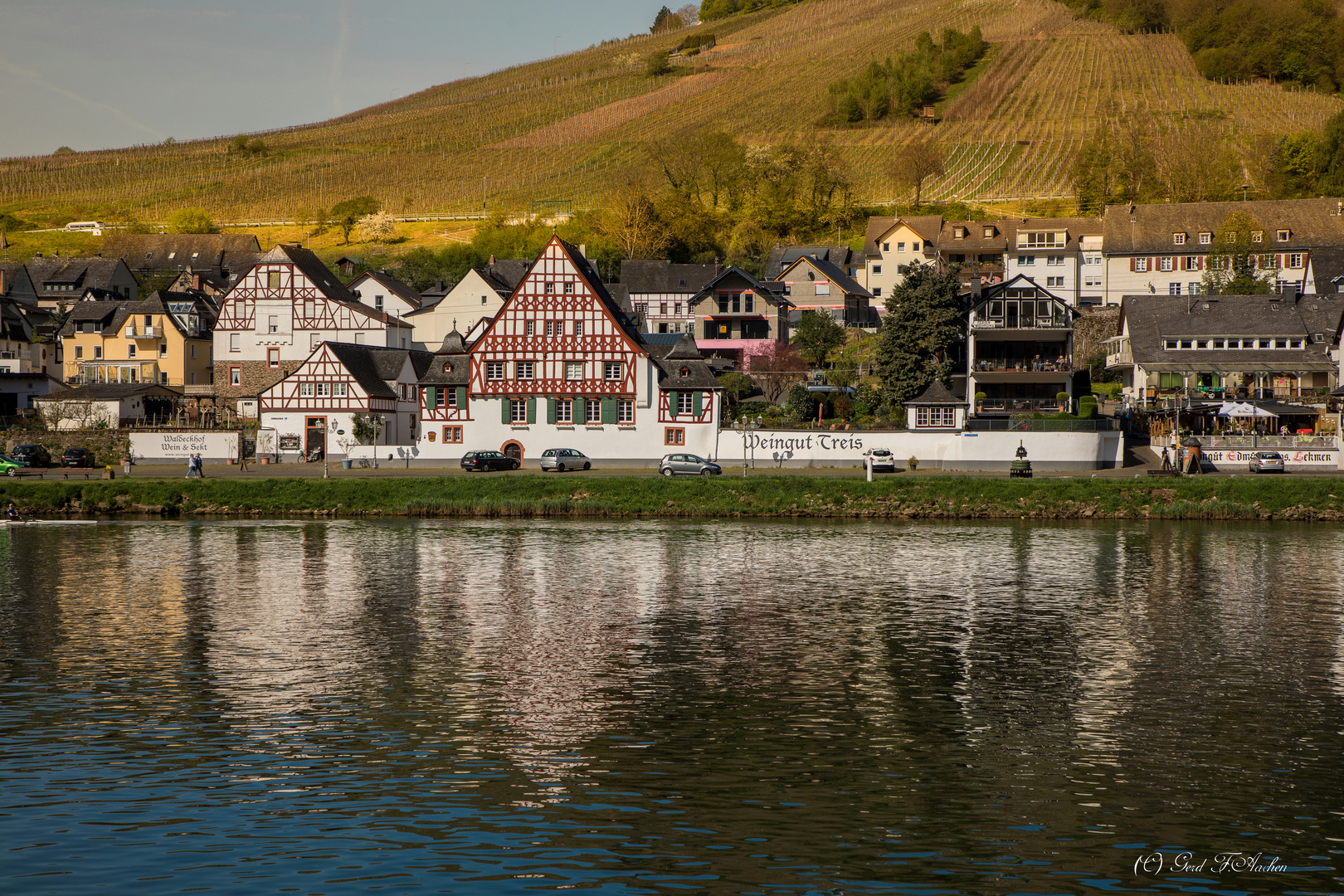 Weingut Treis (Zell-Kaimt,Mosel)