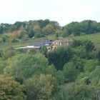 Weingut und Restaurant Försterhof.