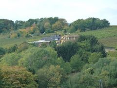 Weingut und Restaurant Försterhof.