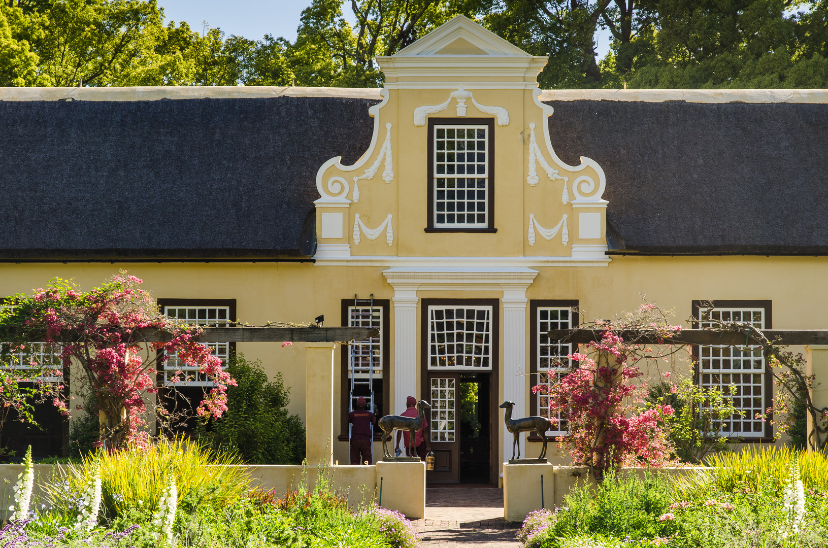 Weingut Vergelegen