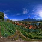 Weingut Werdenberg, Buchs SG, Rheintal