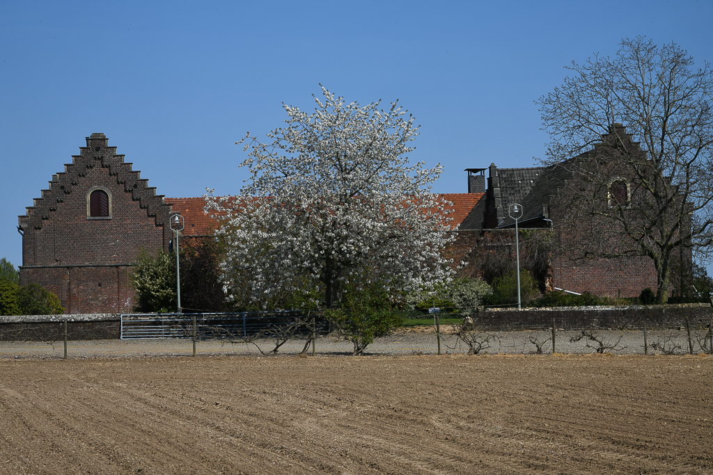 Weingut Wijngaardsberg Ulestraten (NL)