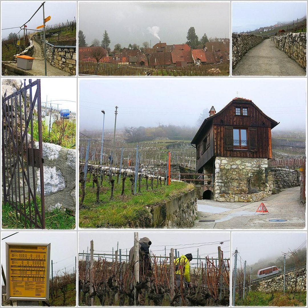 weinhänge am see