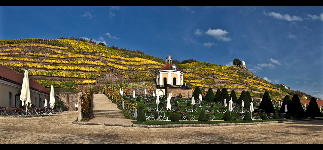 Weinhänge - Schloss Wackerbarth