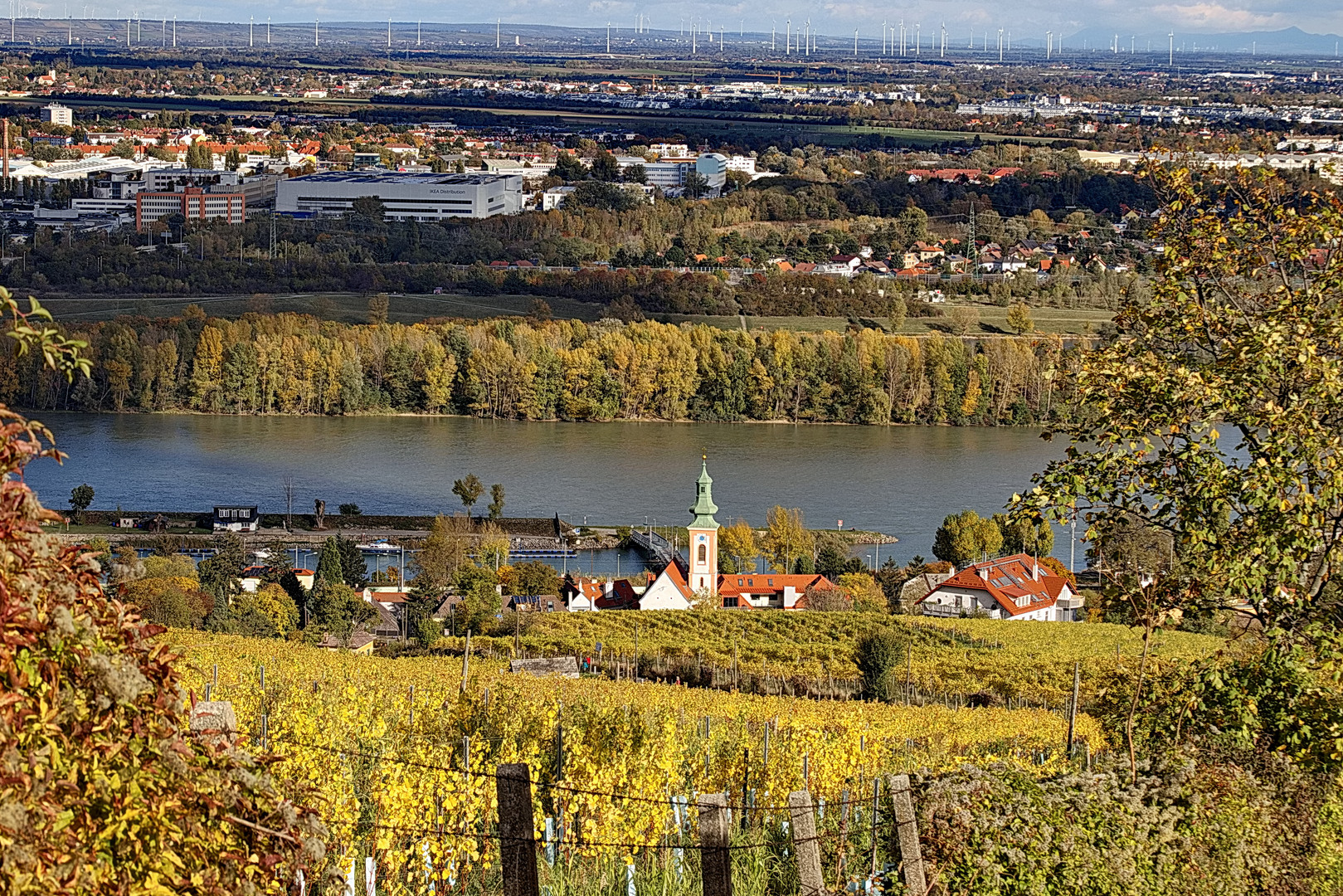 Weinhänge um den Kahlenberg