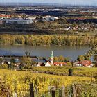 Weinhänge um den Kahlenberg