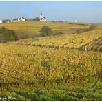 "Weinhaltiges" Hochheim am Main