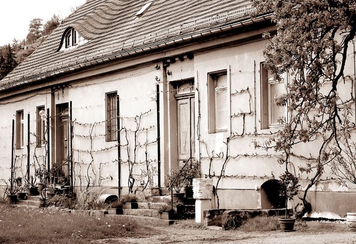 Weinhaus