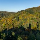 Weinheim 2 Burgenstadt im Herbst