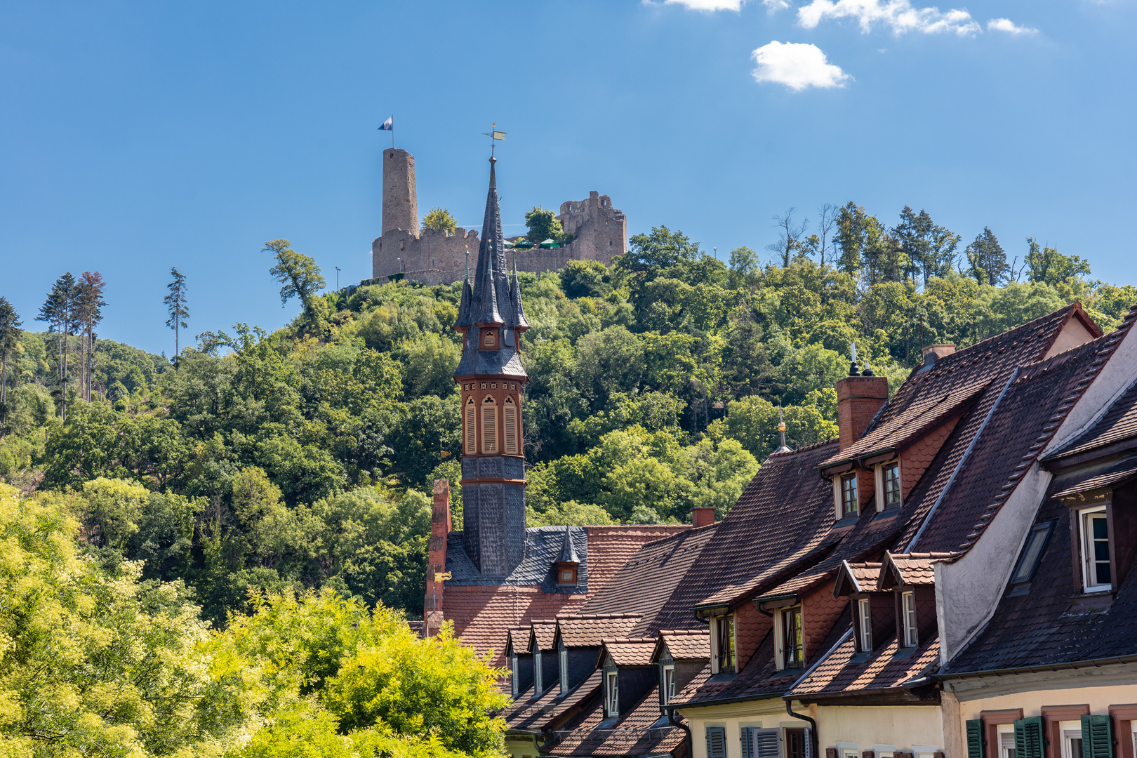 Weinheim, Dächer & Burg Windeck