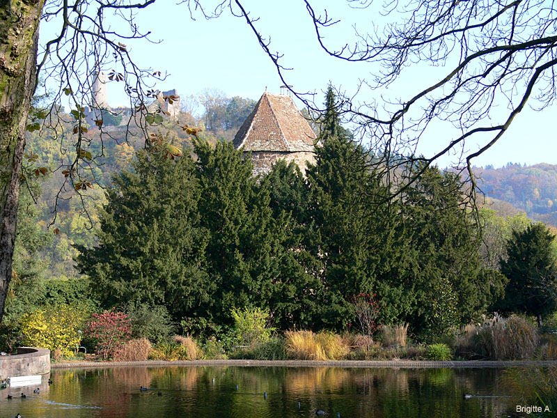 Weinheim - Schloßpark im November 2005