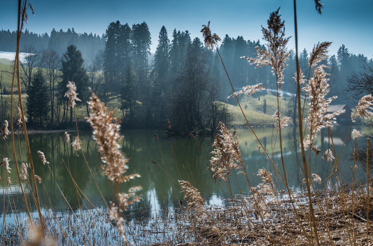 Weiniger Weiher