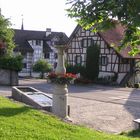 Weiningen mit Brunnen