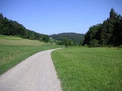 Weiningen Wiesentäli Richtung Weiningen