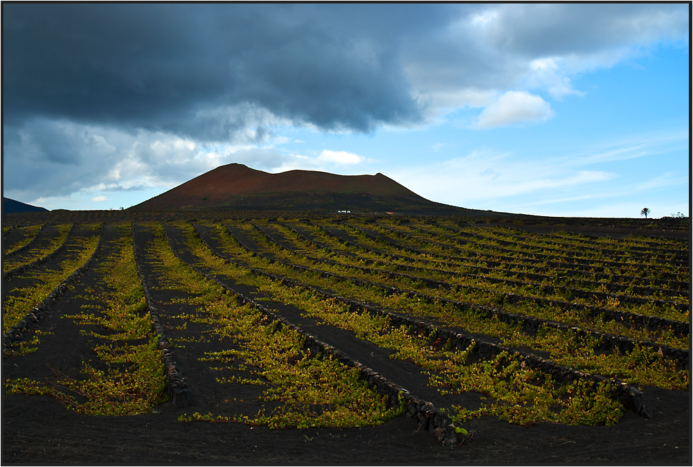 Weinkultur auf Lanzarote (La Geria)