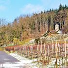 Weinlage Steingässle mit Denkmal