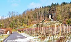 Weinlage Steingässle mit Denkmal