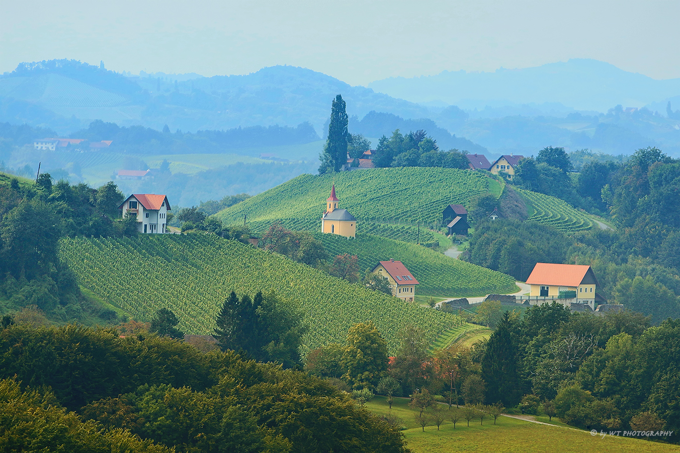 WEINLAND ÖSTERREICH