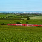 Weinland-Pfalz-Takt