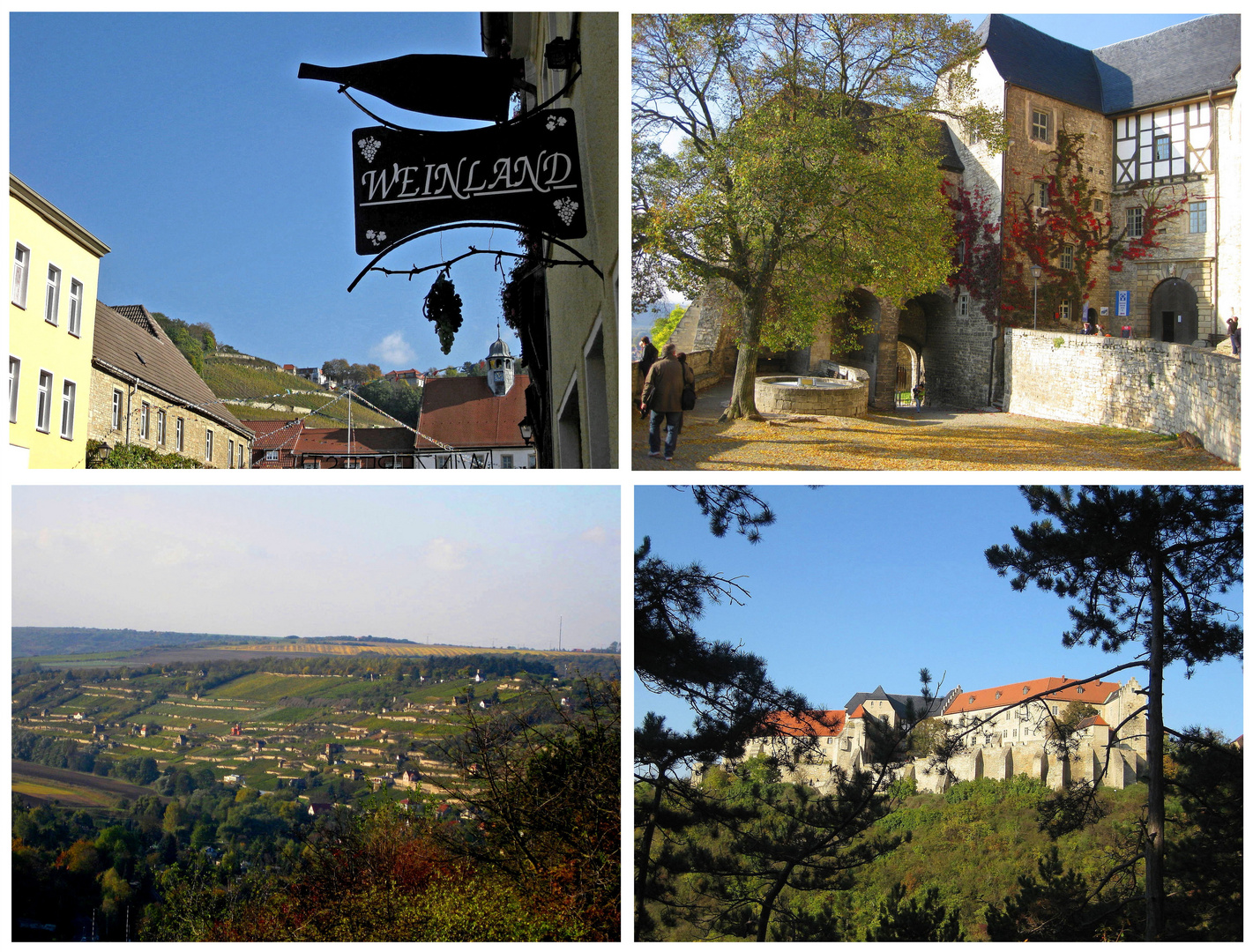 Weinland Saale-Unstrut  mit Burg Neuenburg