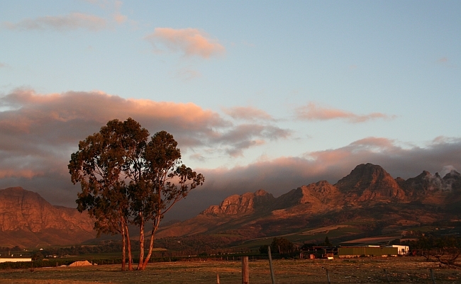 Weinland Stellenbosch