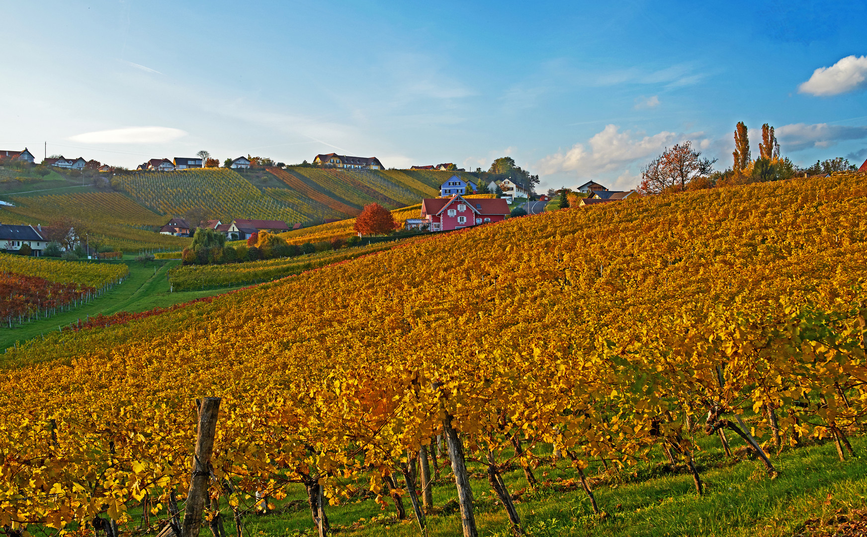 Weinland Südoststeiermark Bezirk Gruisla 