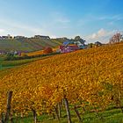 Weinland Südoststeiermark Bezirk Gruisla 