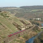 Weinlandschaft