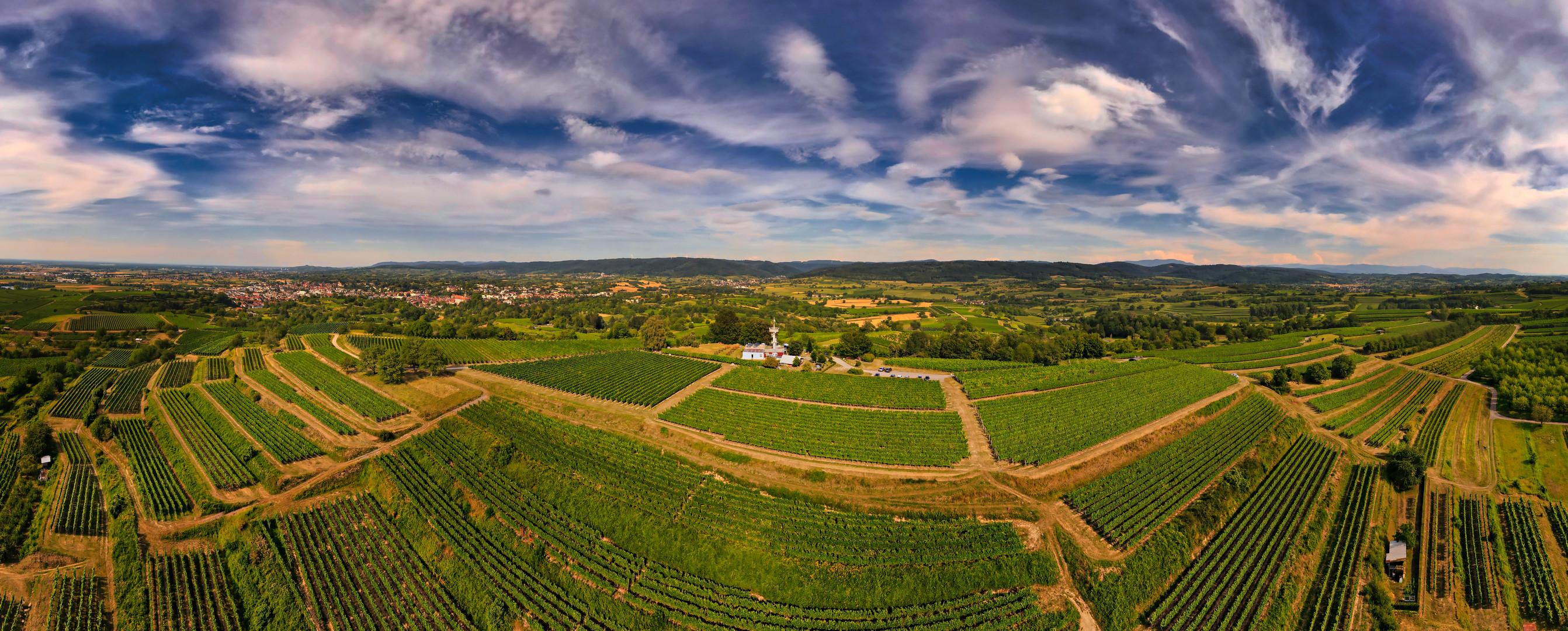 Weinlandschaft am Heuberg 