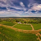 Weinlandschaft am Heuberg 