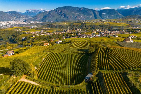 Weinlandschaft in Eppan