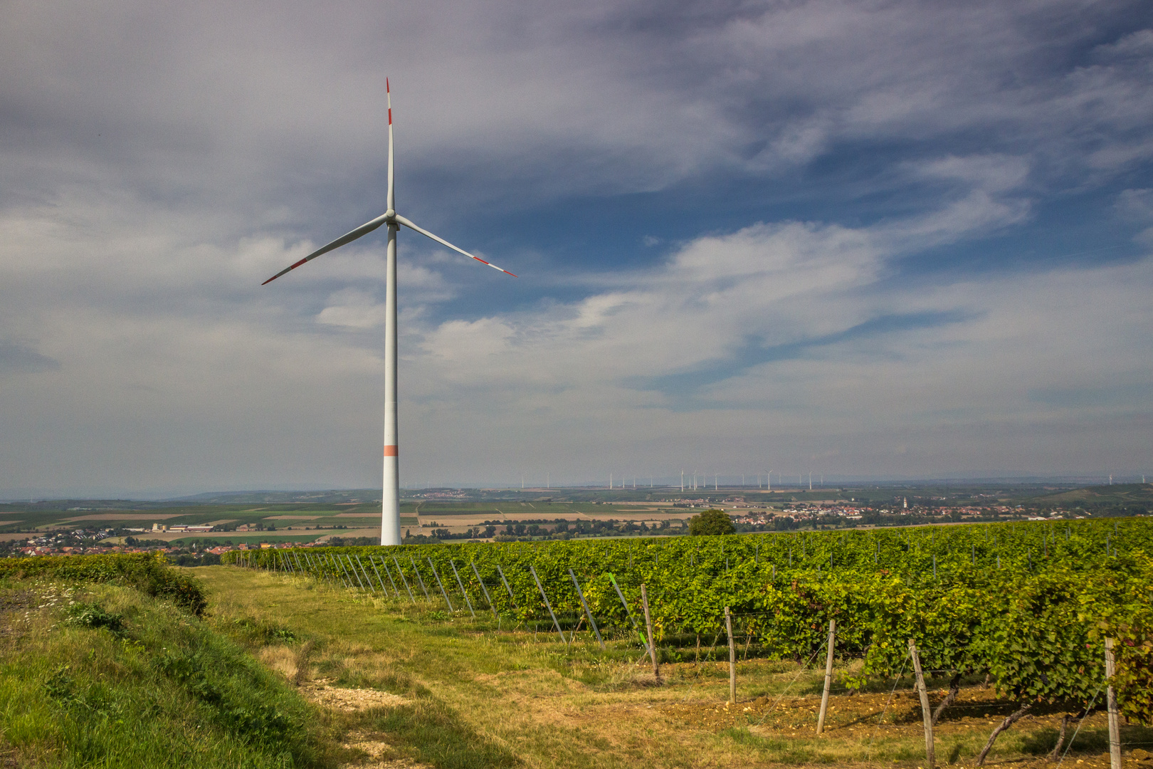 Weinlandschaft in Framersheim