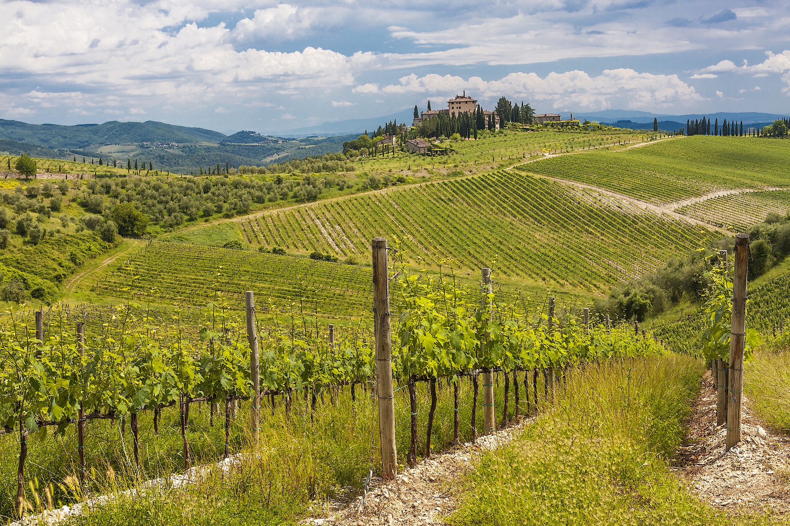 Weinlandschaft Toskana