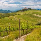 Weinlandschaft Toskana