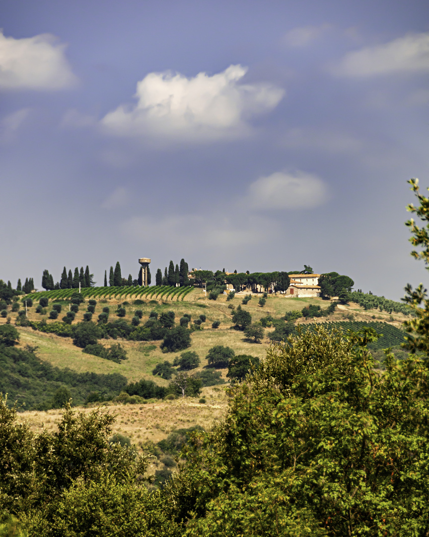 Wein,Landwirtschaft und Tourismus