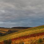 Weinlaubherbst