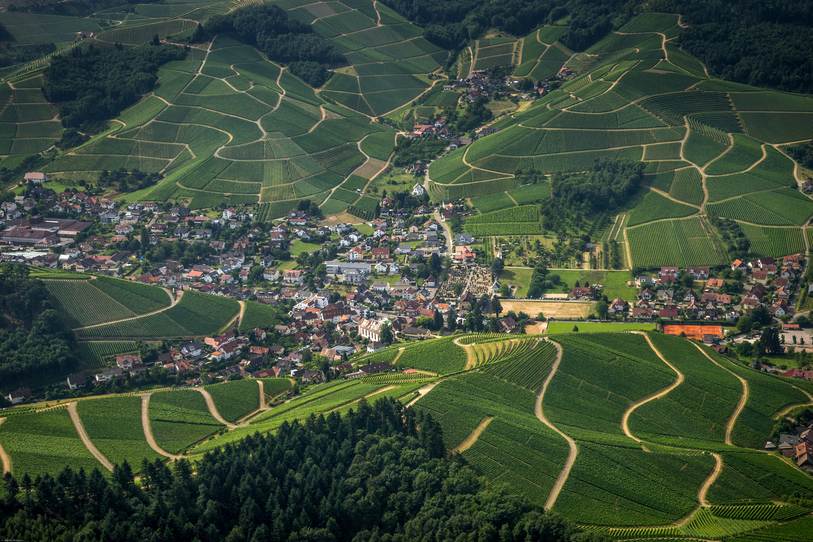 Weinort Durbach in der Ortenau