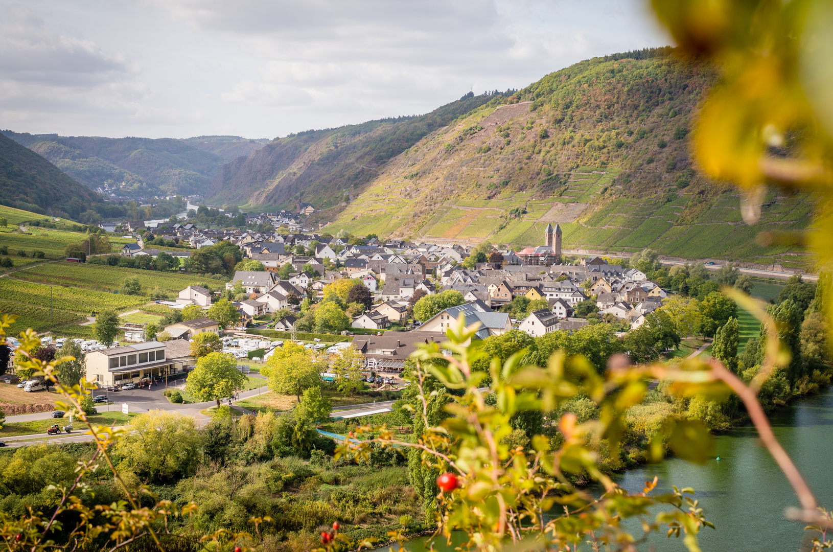 Weinort Ernst an der Mosel 