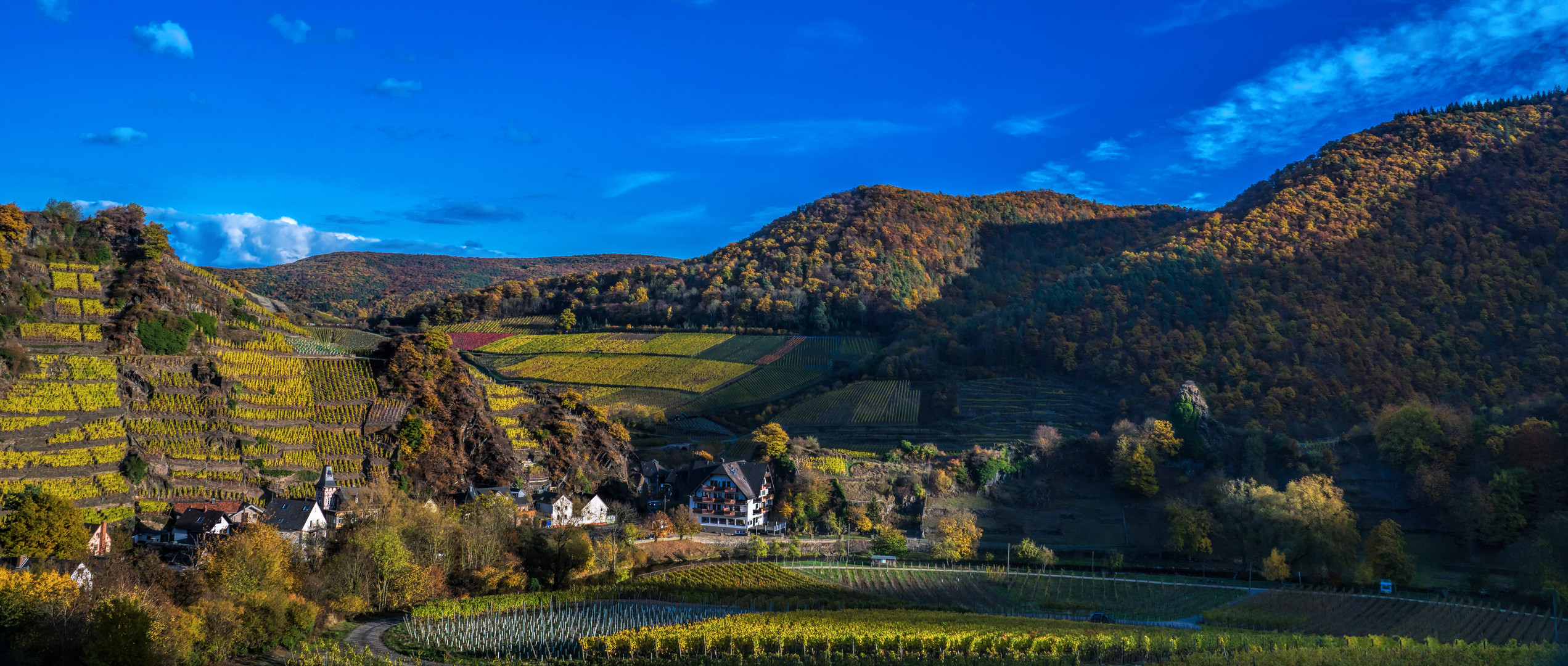 Weinort im Herbst