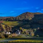 Weinort im Herbst