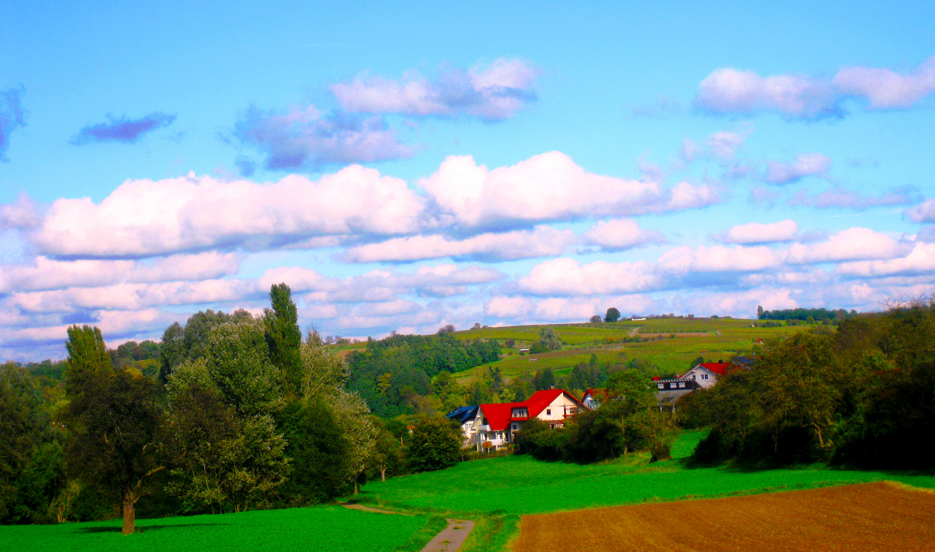 Weinort Zeutern, als Gemälde verarbeitet